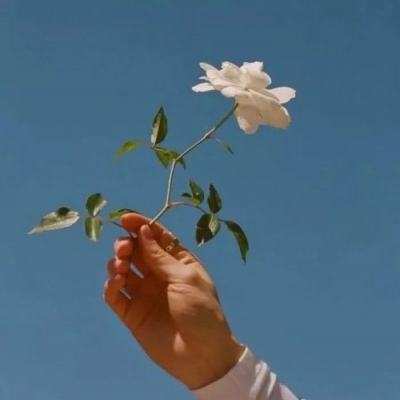 鲨鱼变形机器人中文版下载