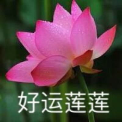 阵惊天下(暂未上线)v1.0 安卓版
