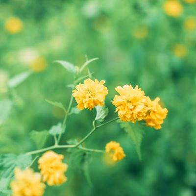 飓风陆战队官方版下载